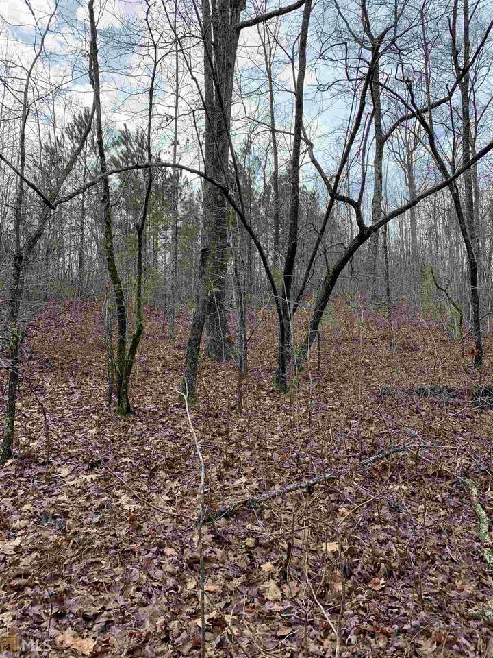 00 Flowery Branch Rd - Photo 1