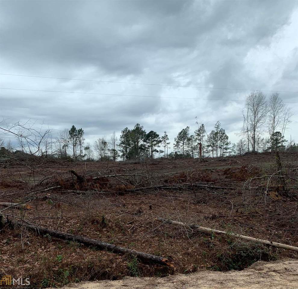 0 Jordan Brown Rd - Photo 1