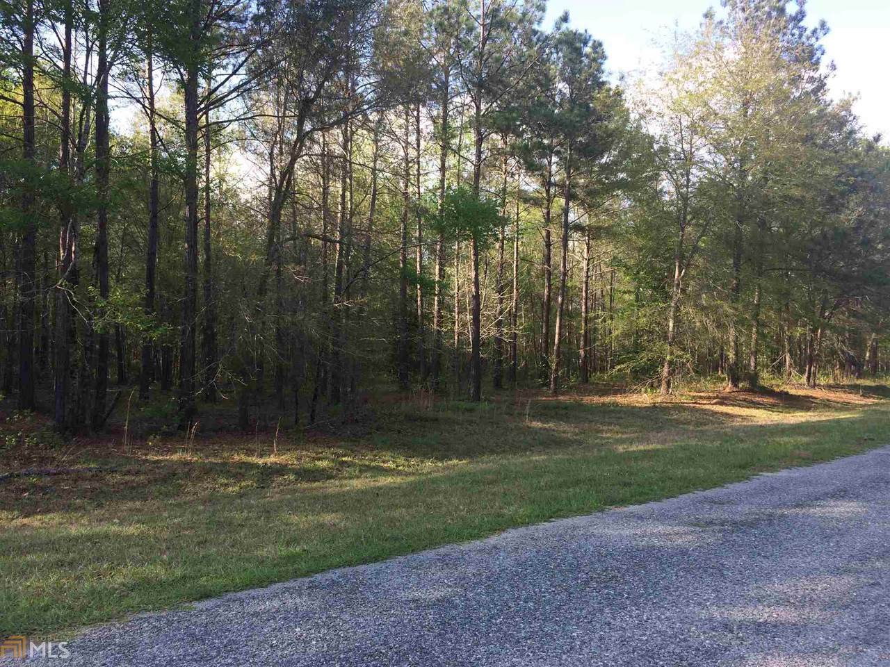 0 Spearhead Rd - Photo 1