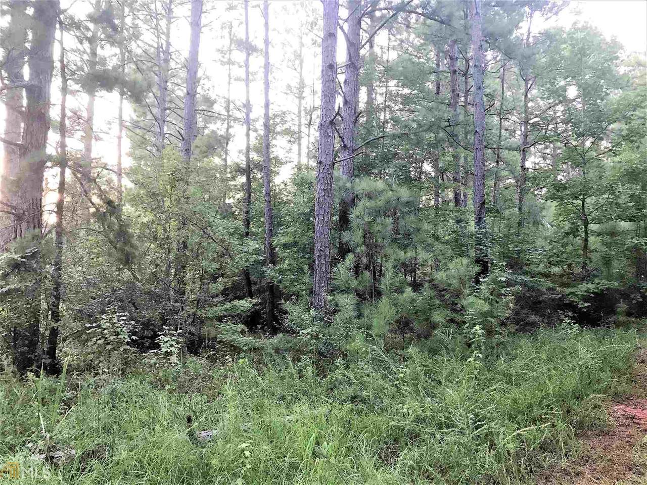 0 Lovic Davis Rd - Photo 1