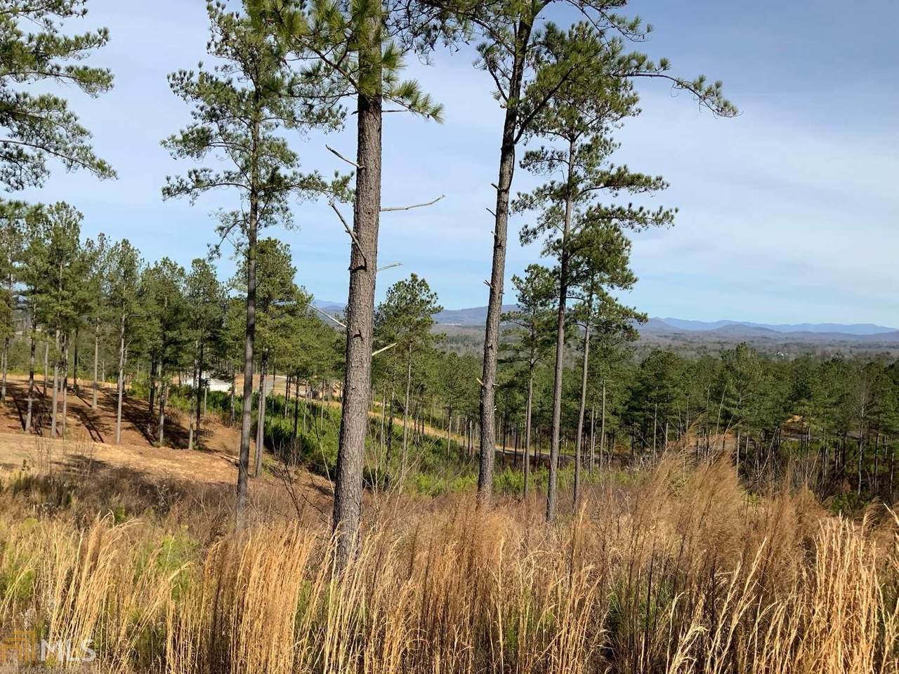 243 Ridge Pt - Photo 1