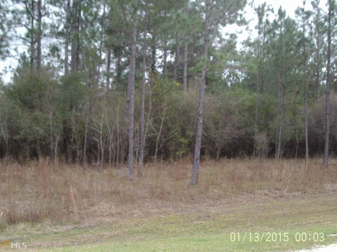 2020 Janell's River Dr - Photo 1