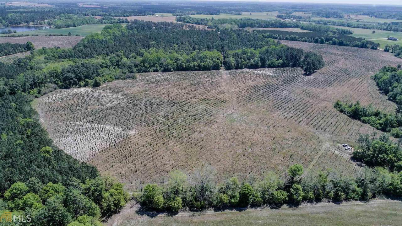 0 Bluebonnet Rd - Photo 1