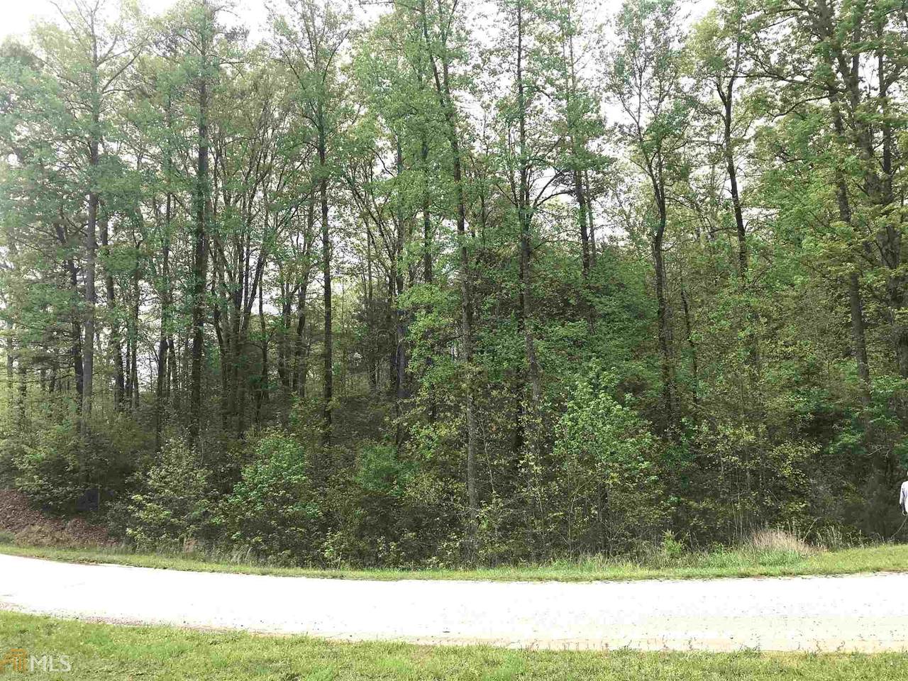 0 N Laceola Rd - Photo 1