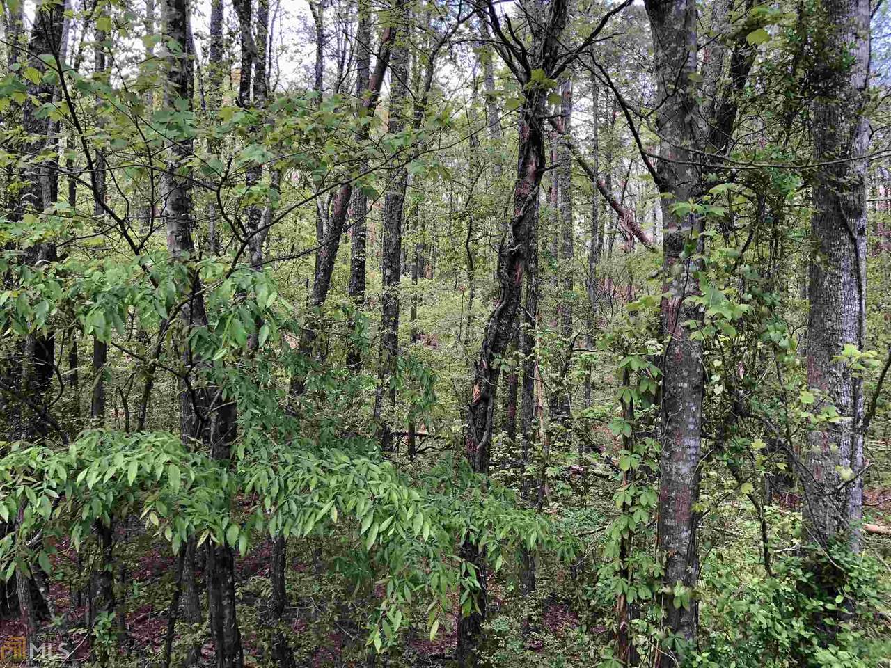 504 Mount Pleasant Rd - Photo 1