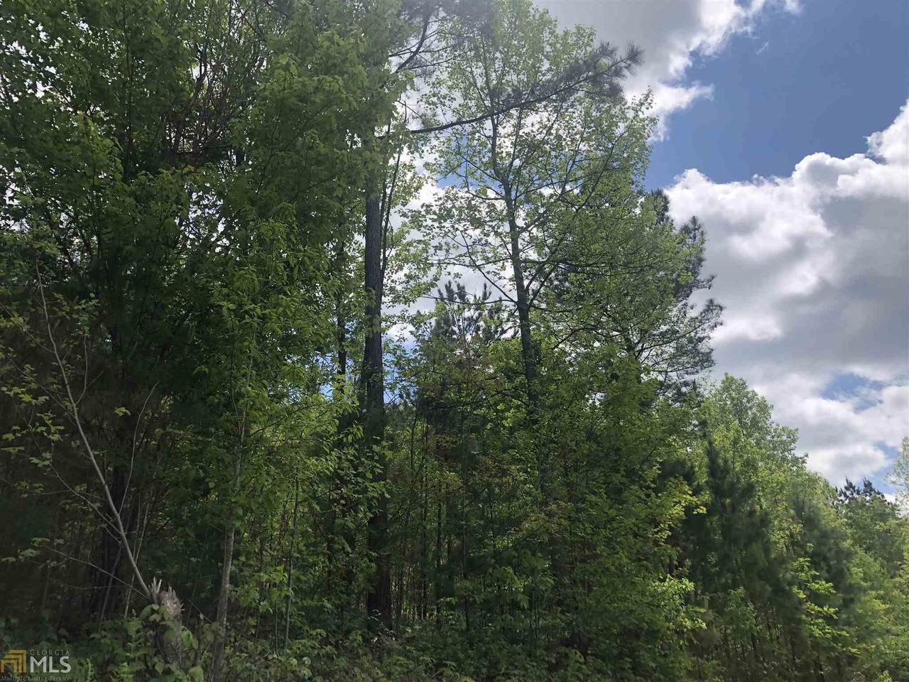 0 Treeline Dr - Photo 1 0 Treeline Dr - Photo 1