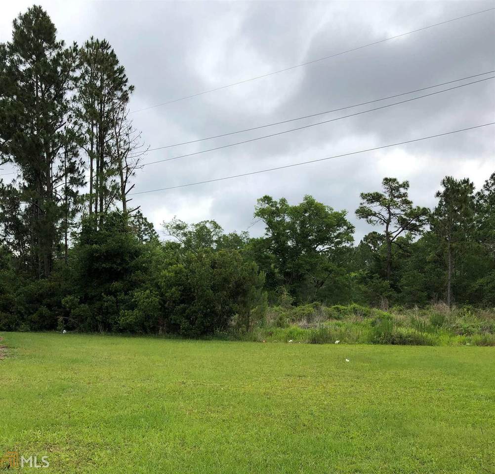 035 056A Ellie Long Div Tract - Photo 1