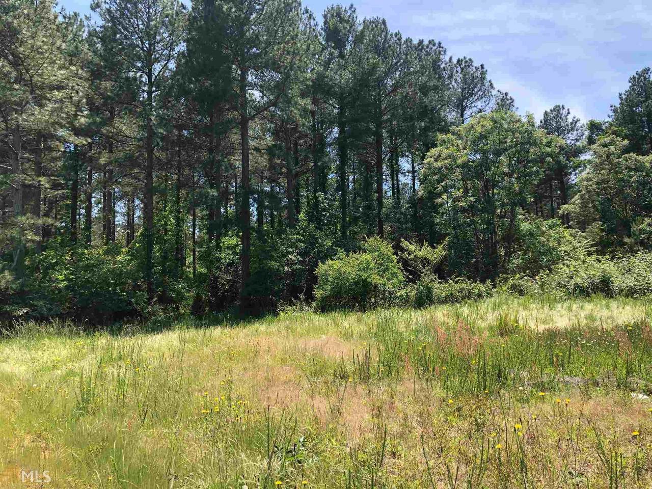 0 Mt Olivet Rd - Photo 1