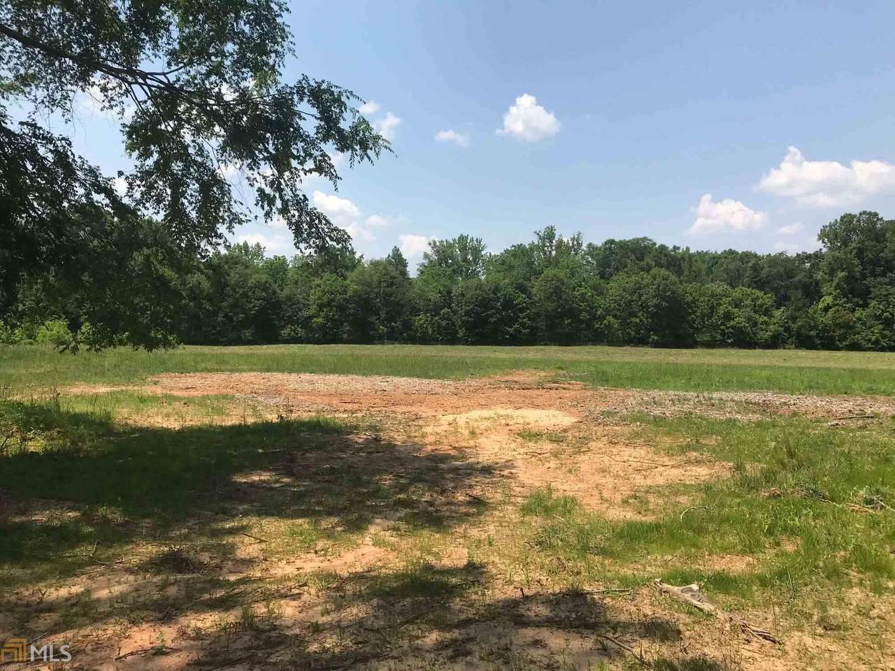 2239 Mcdonough Rd - Photo 1