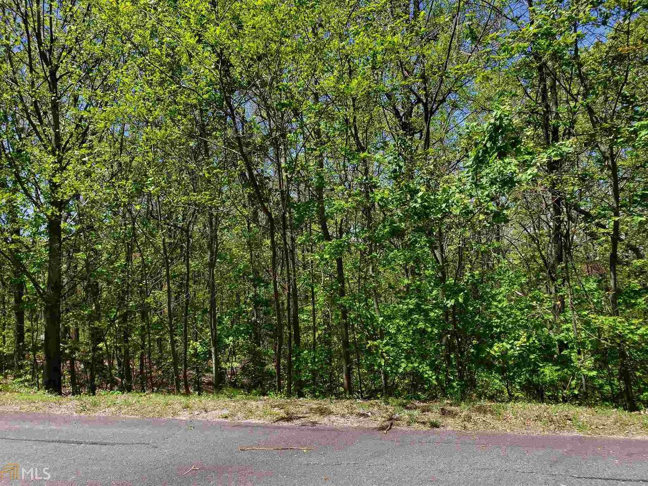 0 Cloudland Dr - Photo 1