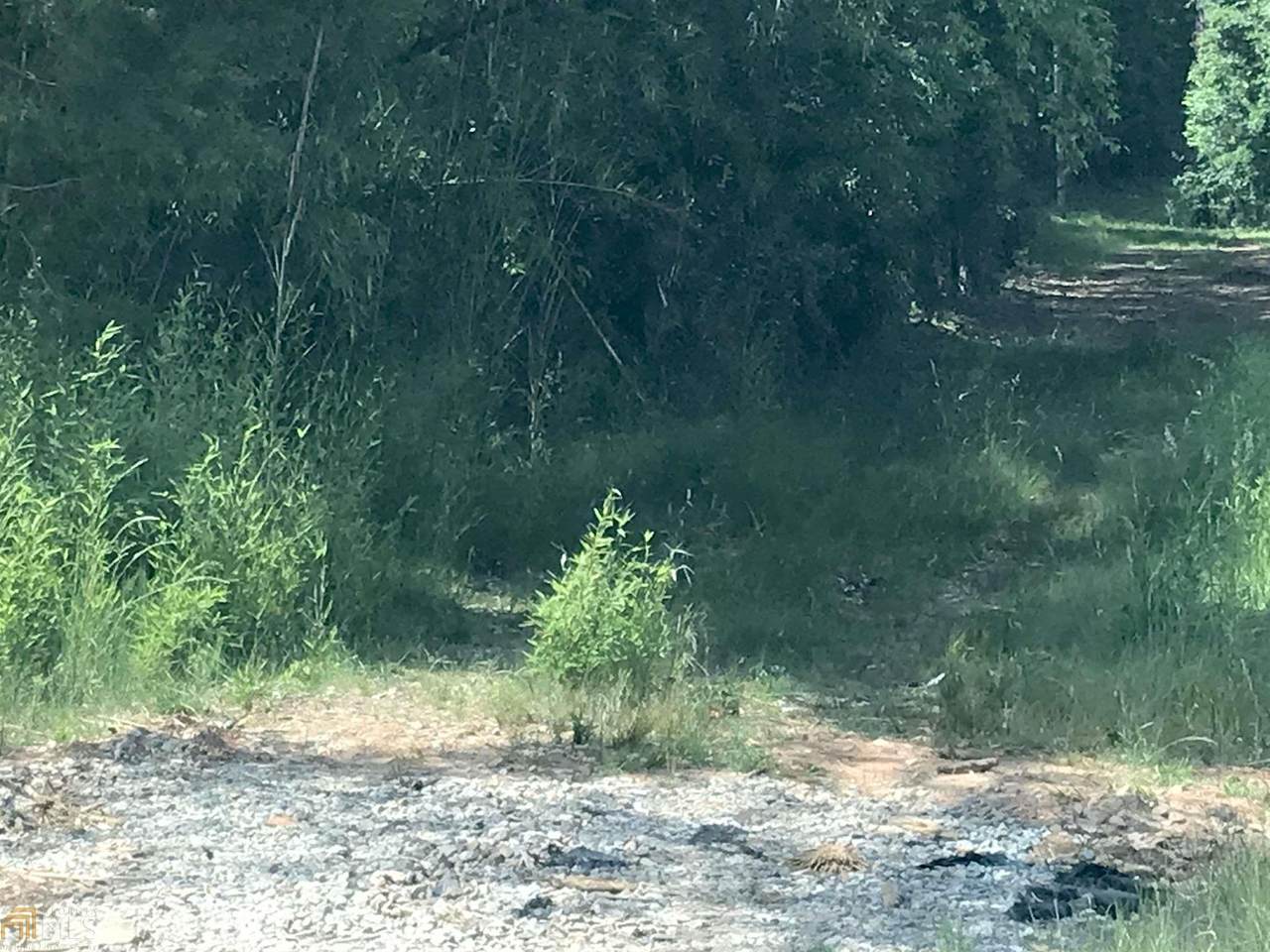 0 Tommy Lee Cook Rd - Photo 1