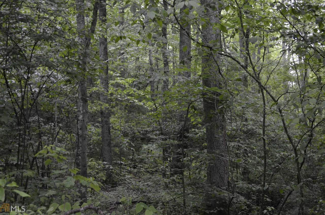 0 Craigtown Rd - Photo 1