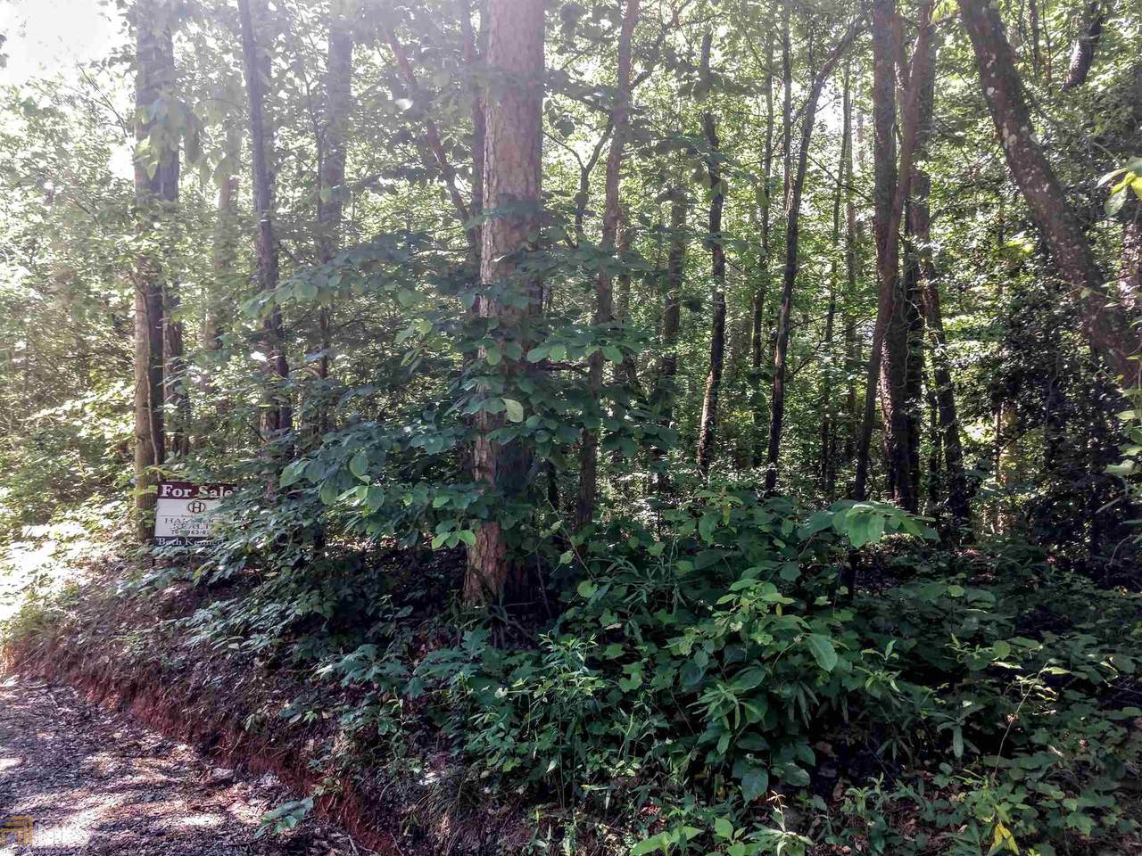 56 Old Seven Forks Rd - Photo 1