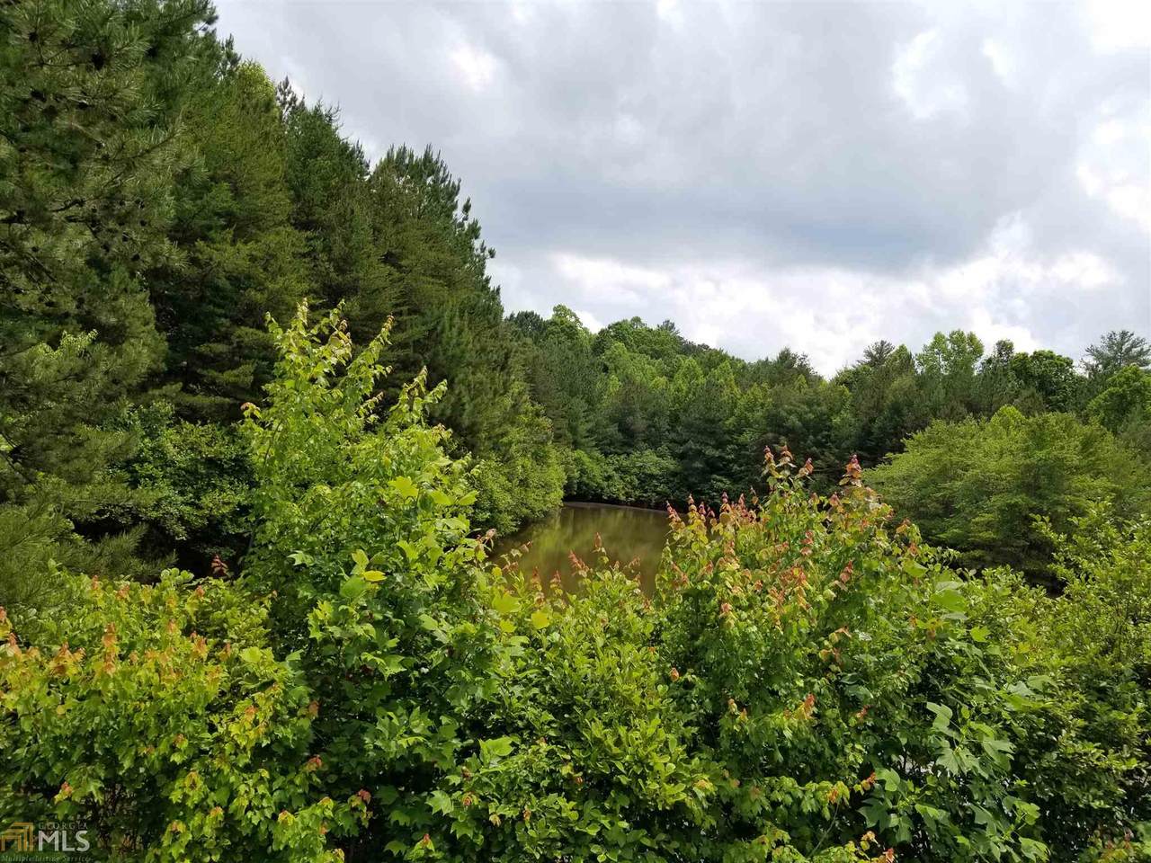0 Spring Creek Rd - Photo 1