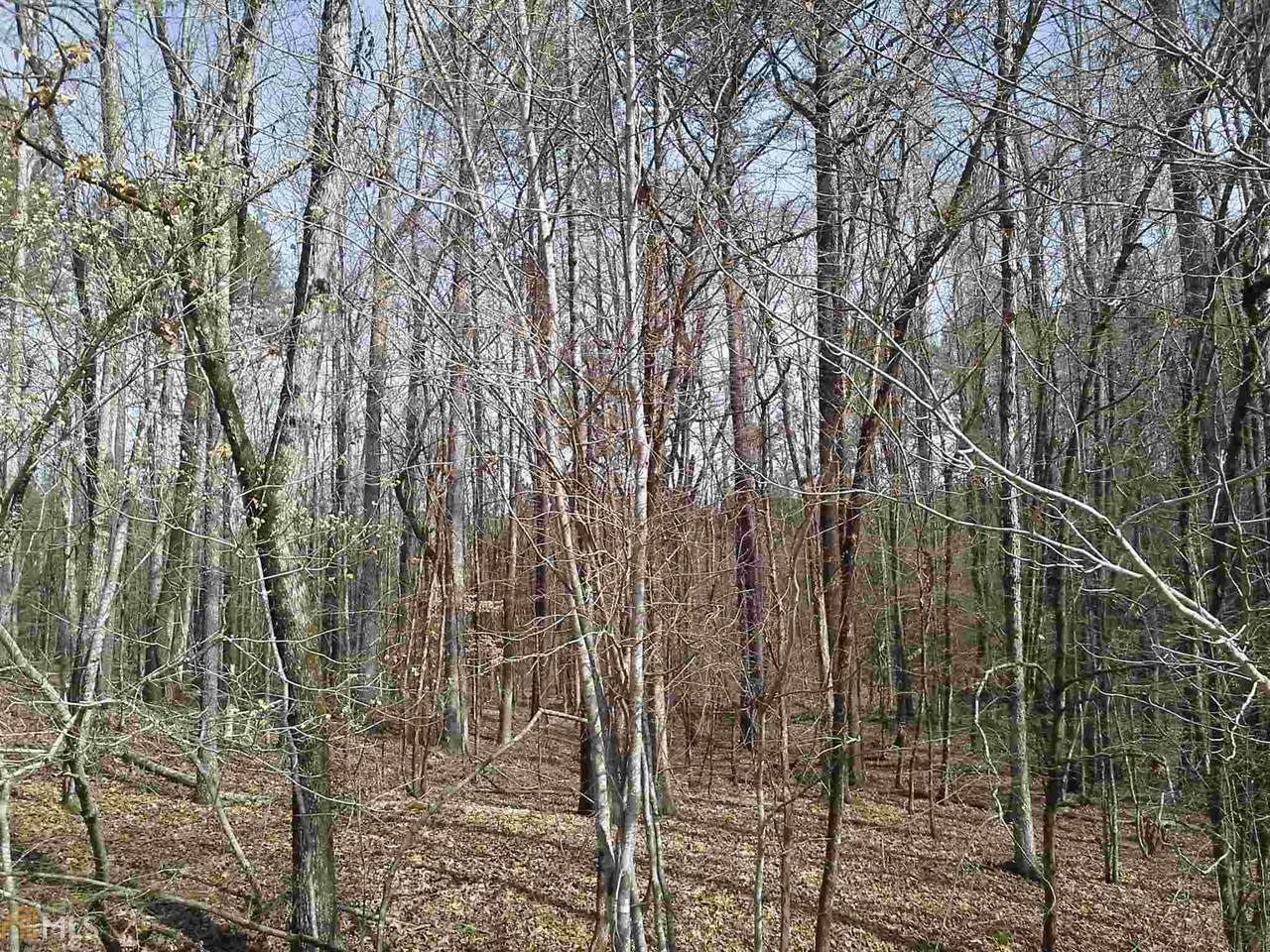 1040 Forrest Highlands - Photo 1