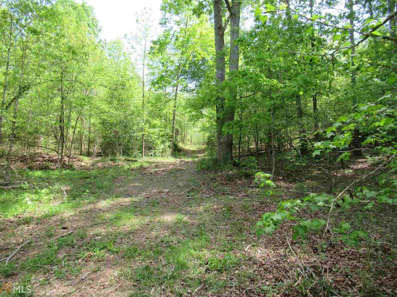 0 Vineyards Creek Church Rd - Photo 1
