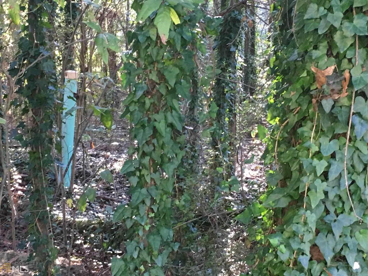 3231 Dodson Connector - Photo 1
