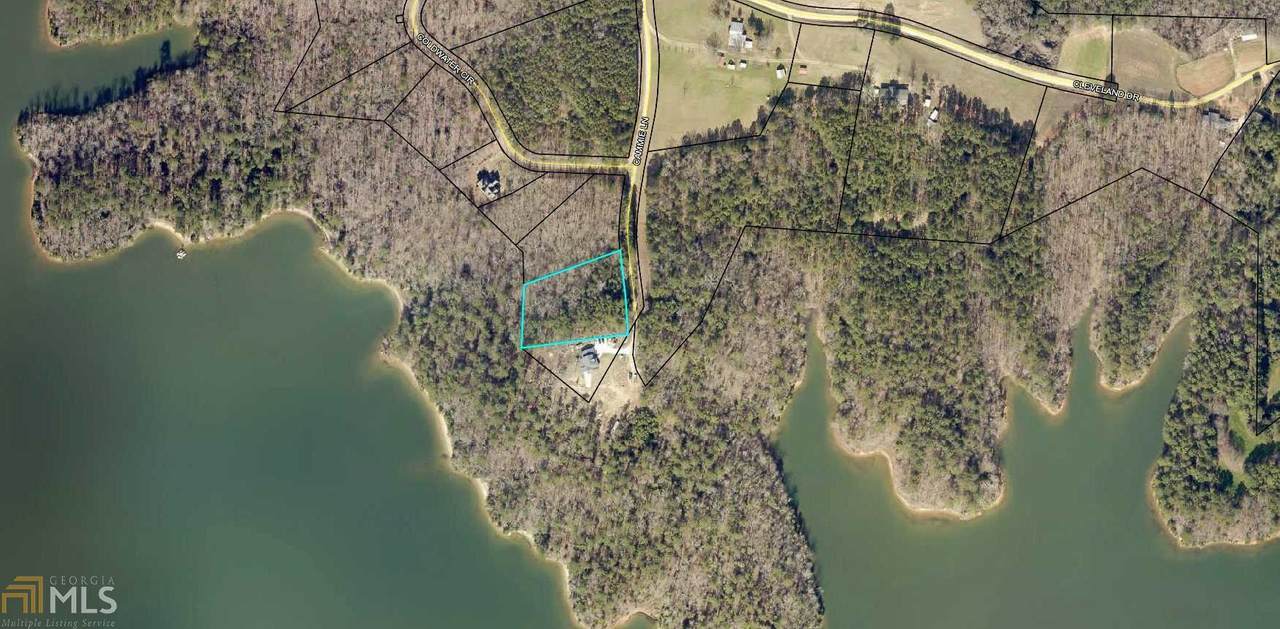 0 Coldwater Cir - Photo 1