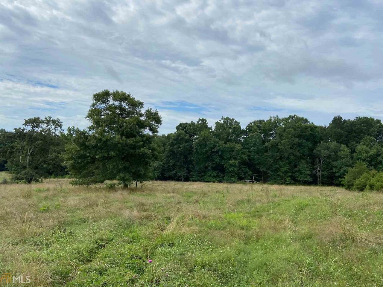 4863 Cobb Griffin Rd - Photo 1