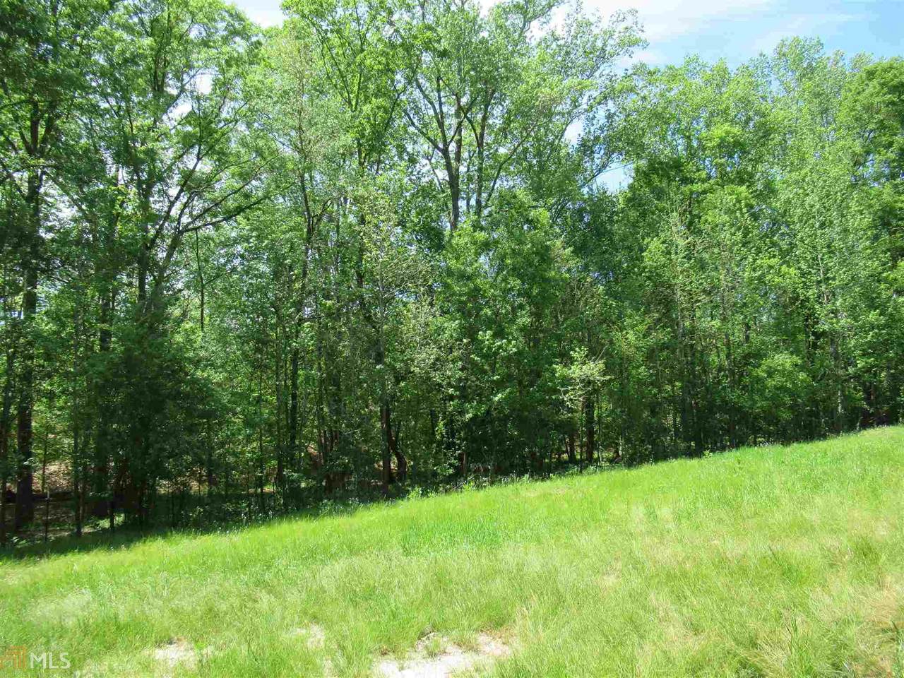 0 Vineyard Creek Church Rd - Photo 1