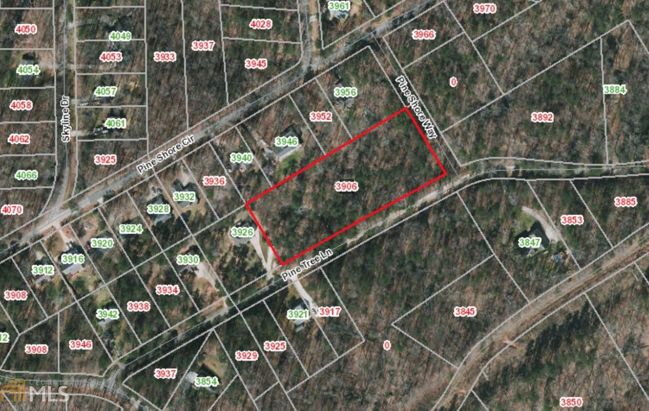 3906 Pine Tree Ln - Photo 1