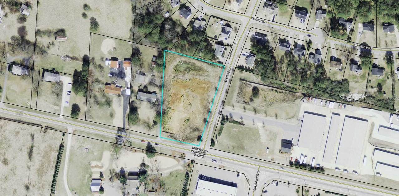1101 Highway 78 - Photo 1