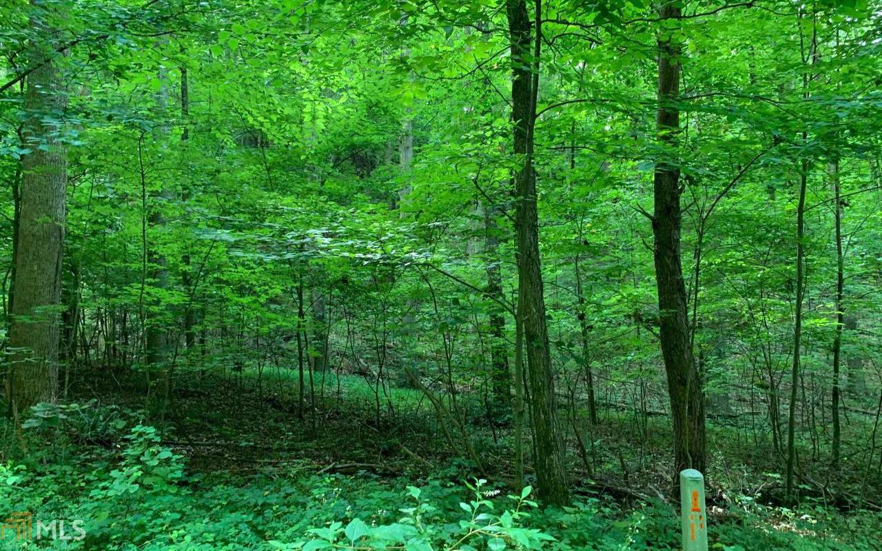0 Mcdonald Overlook - Photo 1