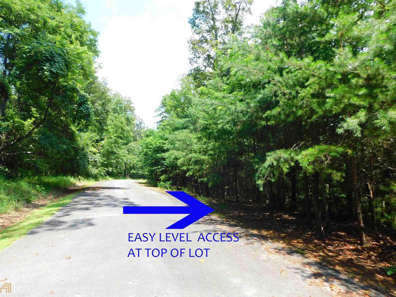 0 Big Oak Dr - Photo 1