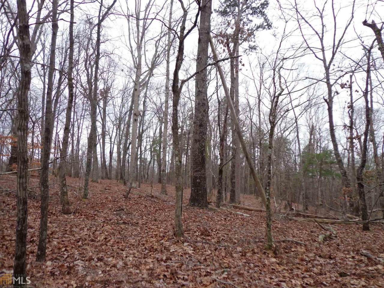 04 Nix Bridge Park Rd - Photo 1