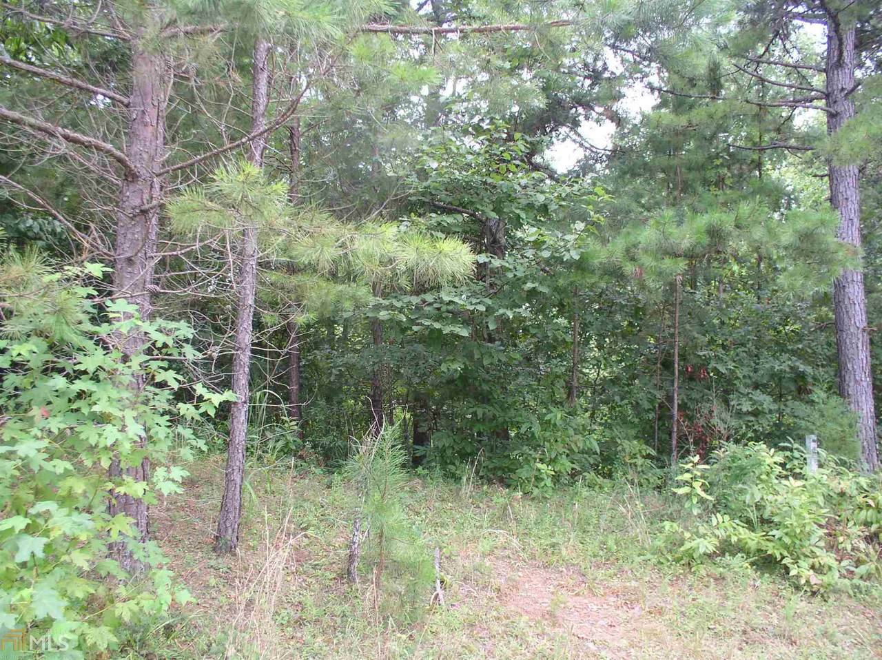 0 Antioch Church Rd - Photo 1