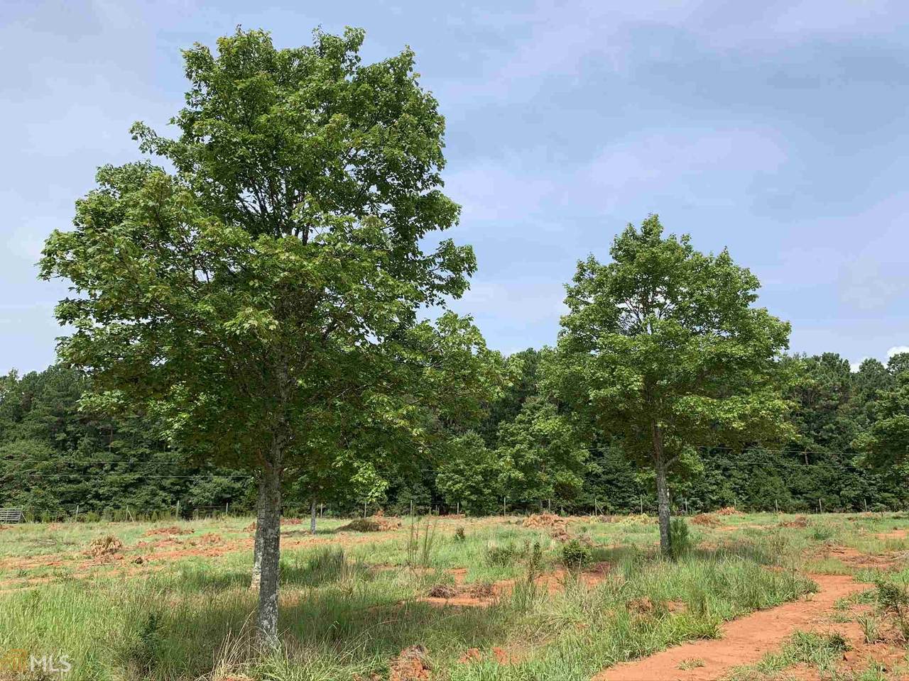 0 Lane Creek Rd - Photo 1