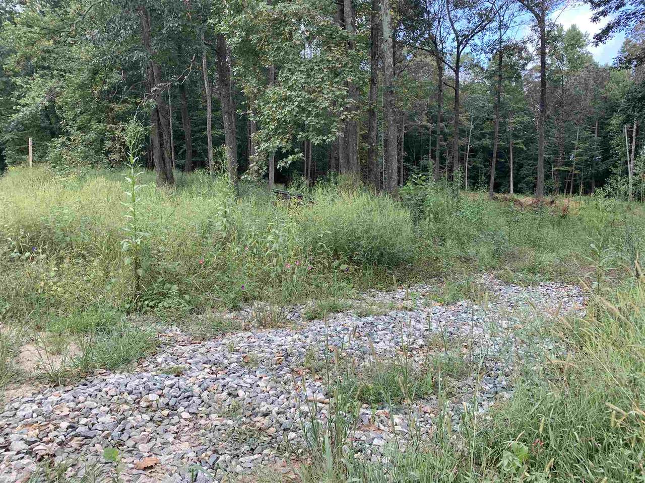 309 Joe Smith Rd - Photo 1