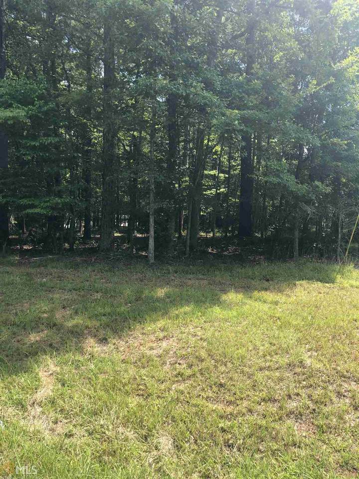 0 River Lake Dr - Photo 1