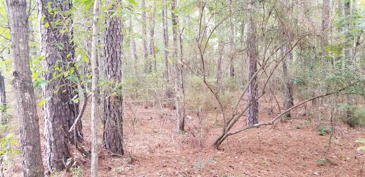 0 Old River Rd - Photo 1