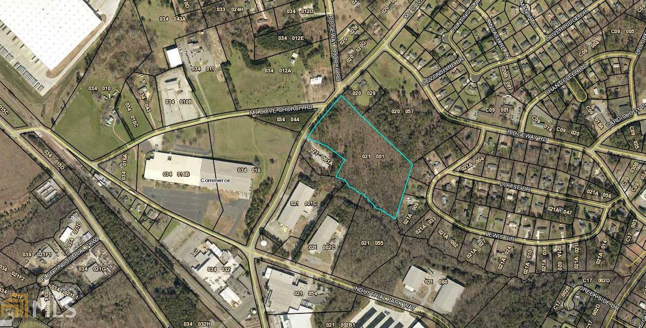 0 Mount Olive Rd - Photo 1