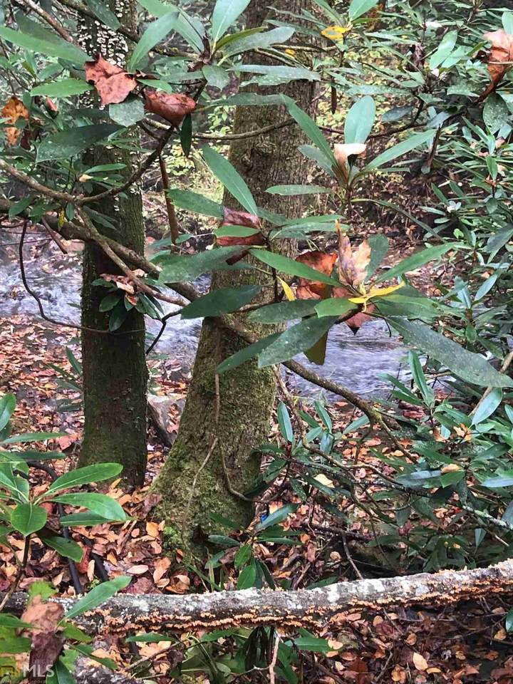 0 Allen Cove Ln - Photo 1