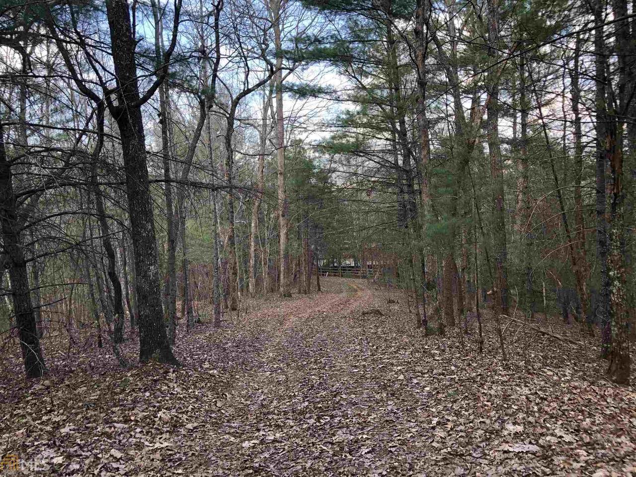 115 Dancing Rabbit Ln - Photo 1