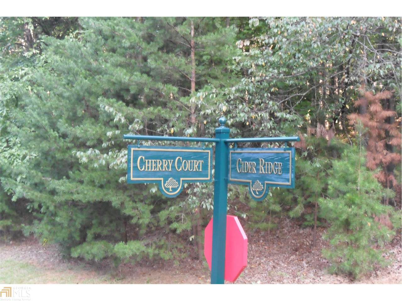 747 Cider Ridge - Photo 1