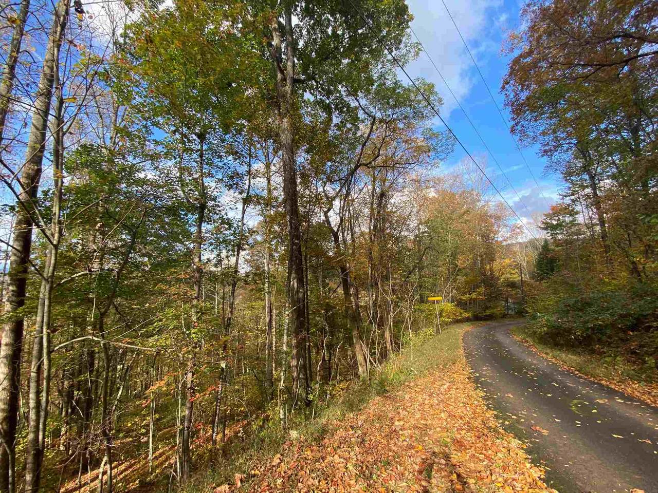 0 Chestnut Mountain Dr - Photo 1