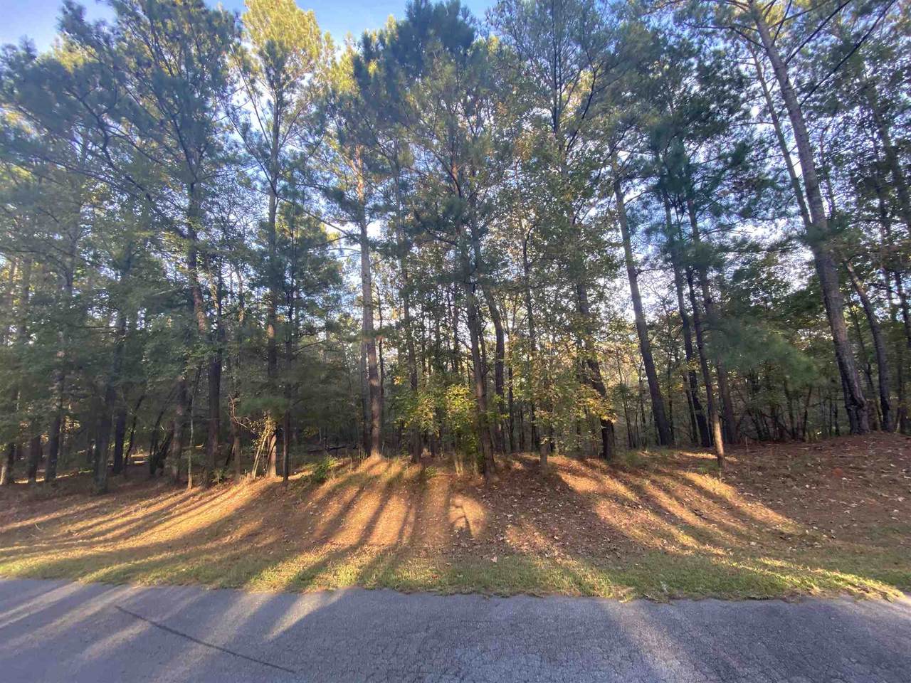 1061 Shadow Creek Way - Photo 1