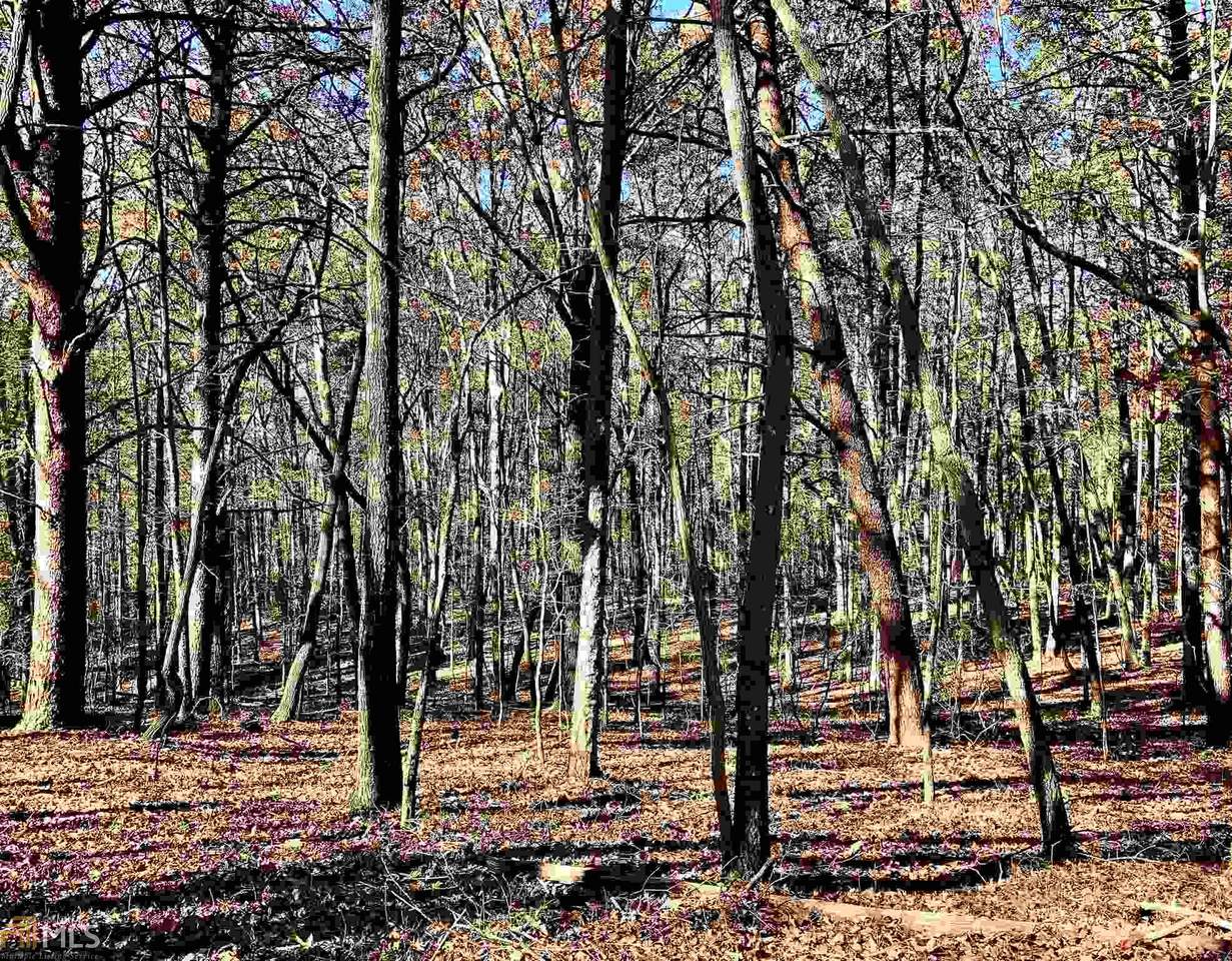 0 Deer - Photo 1