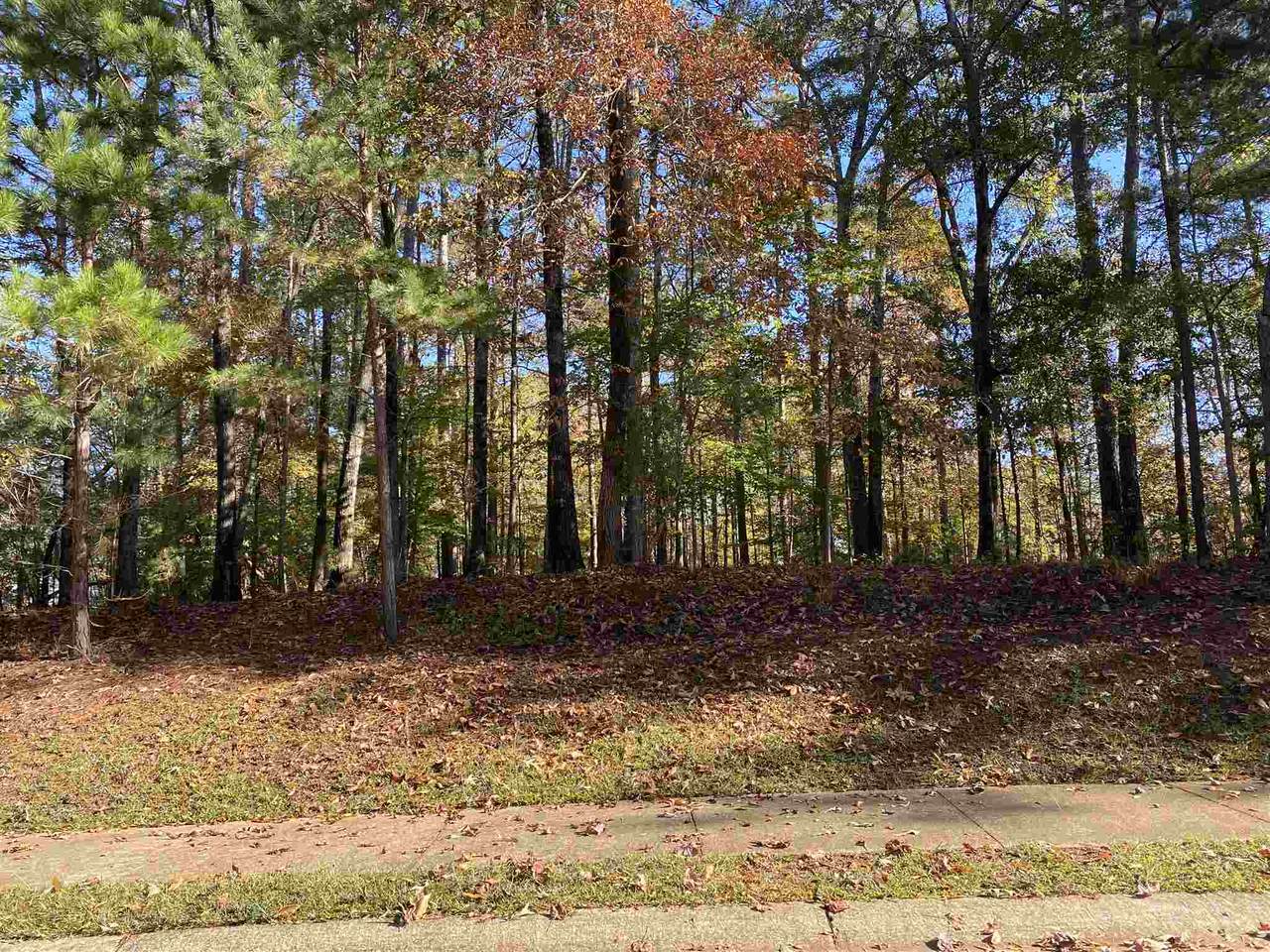 138 Morgan Dr - Photo 1