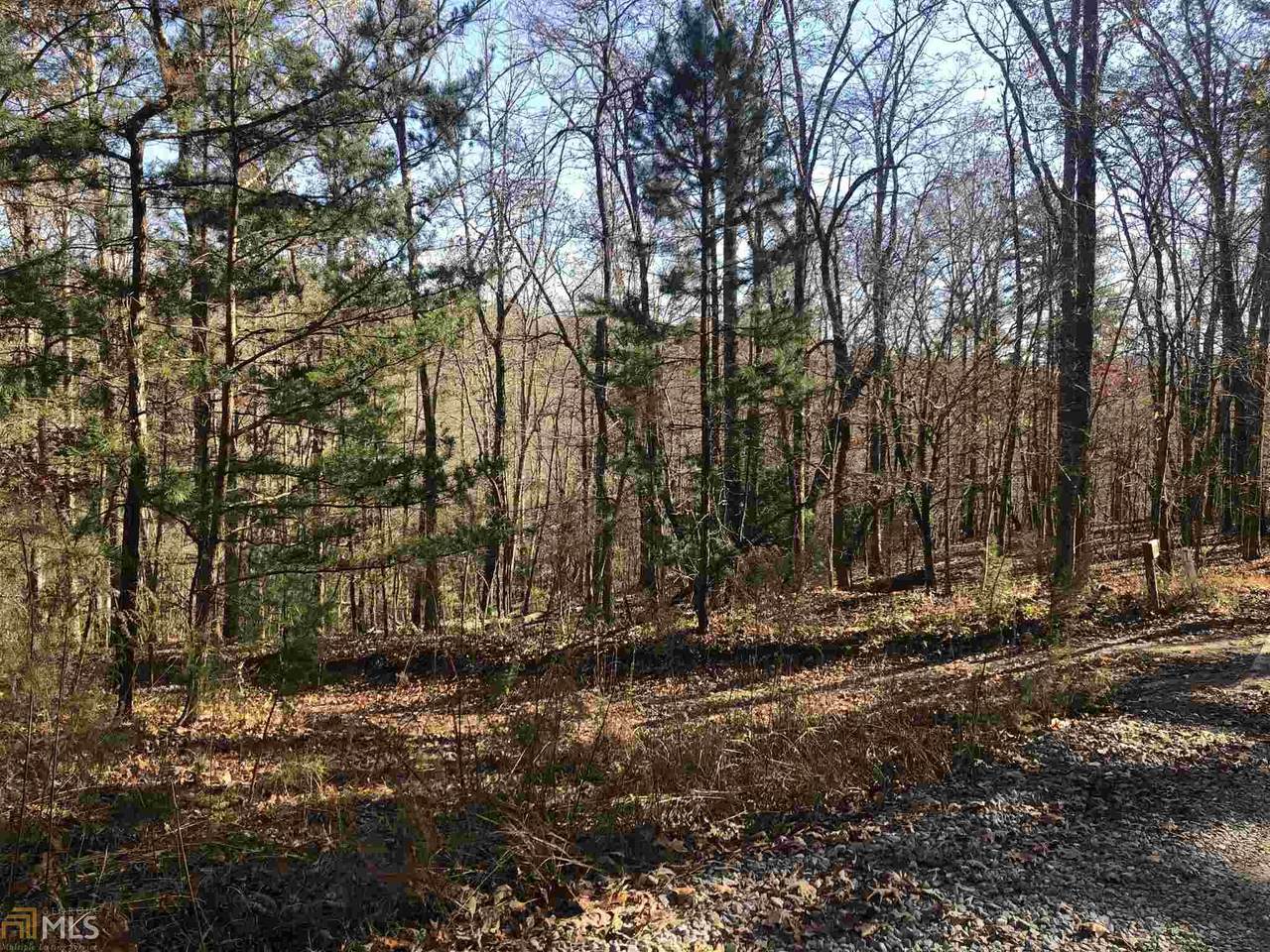 0 Thomas Mountain Rd - Photo 1