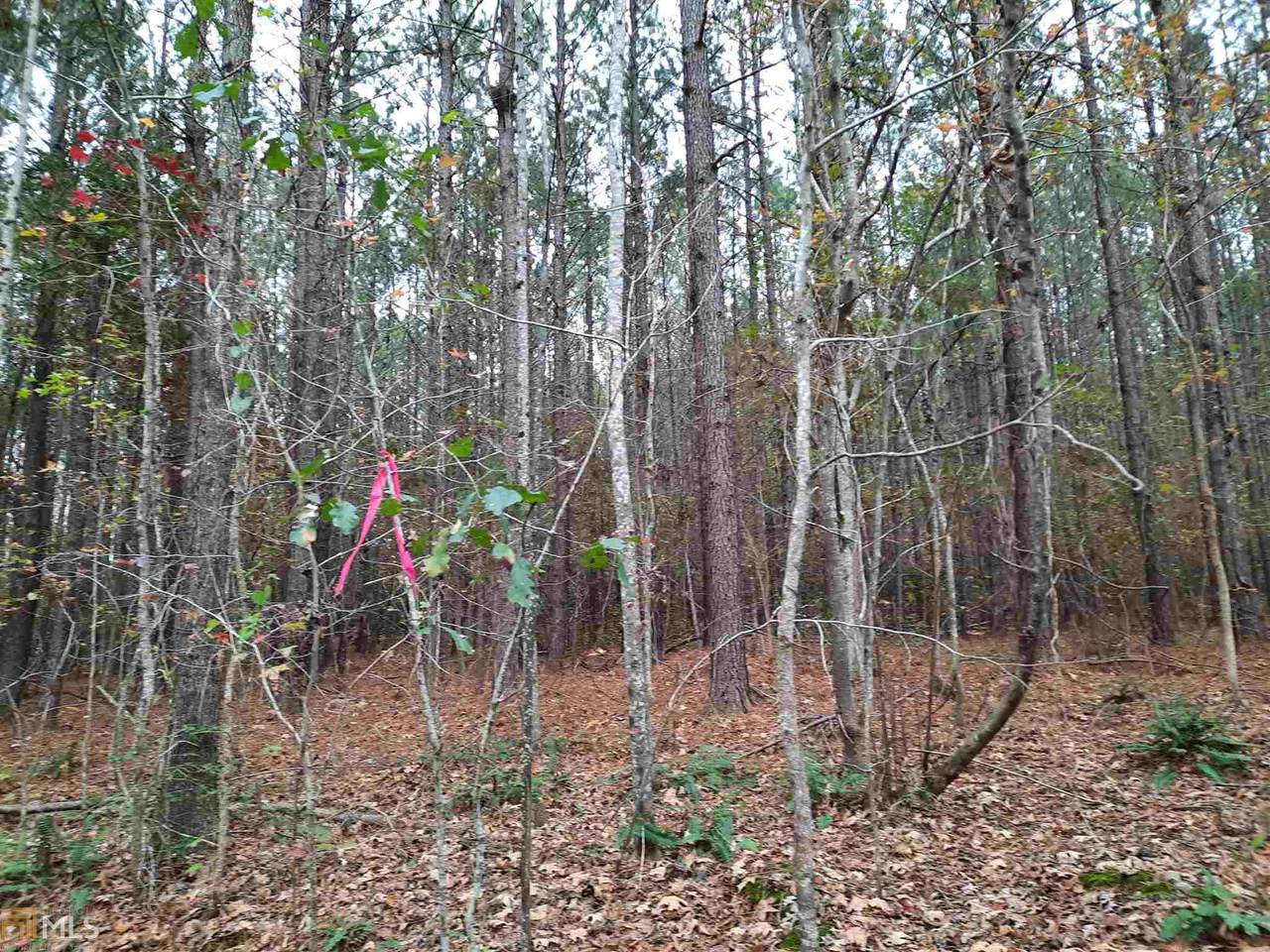 0 Pine Valley Rd - Photo 1