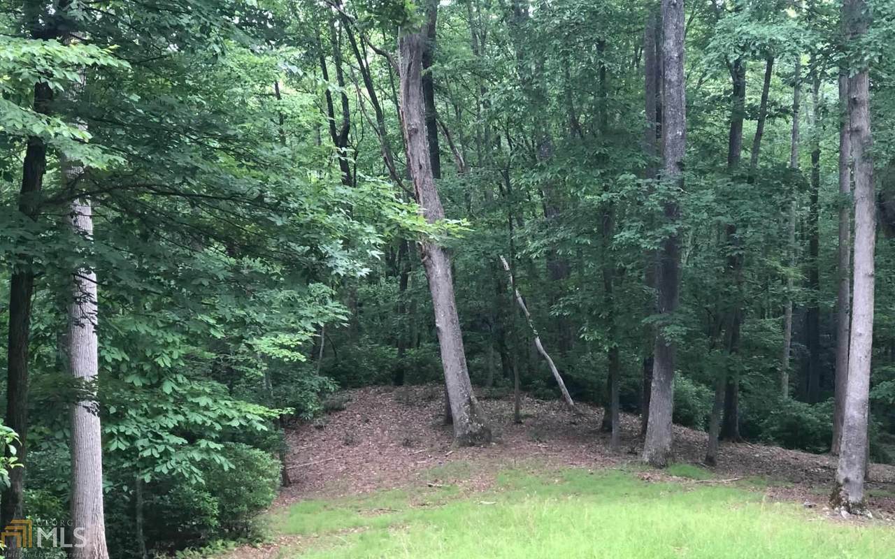 0 Laurel Brooke - Photo 1