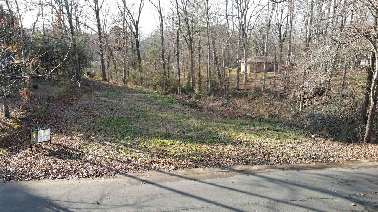 0 Monterey Dr - Photo 1