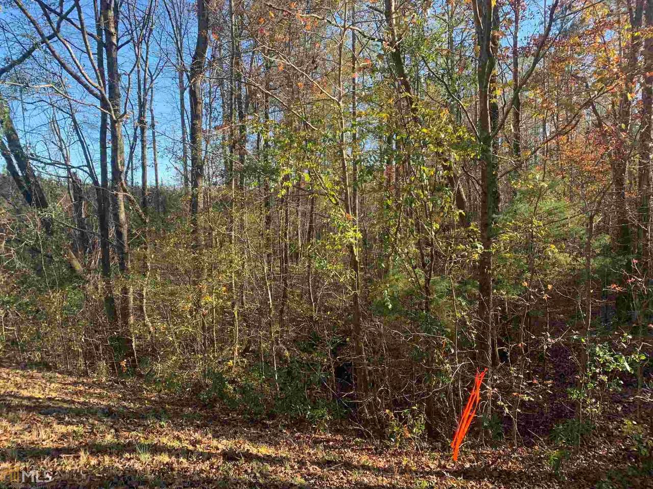 930 Grey Land Rd - Photo 1