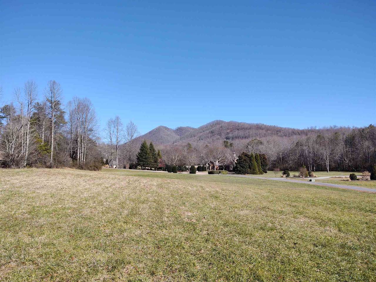 51 A Licklog Ridge - Photo 1
