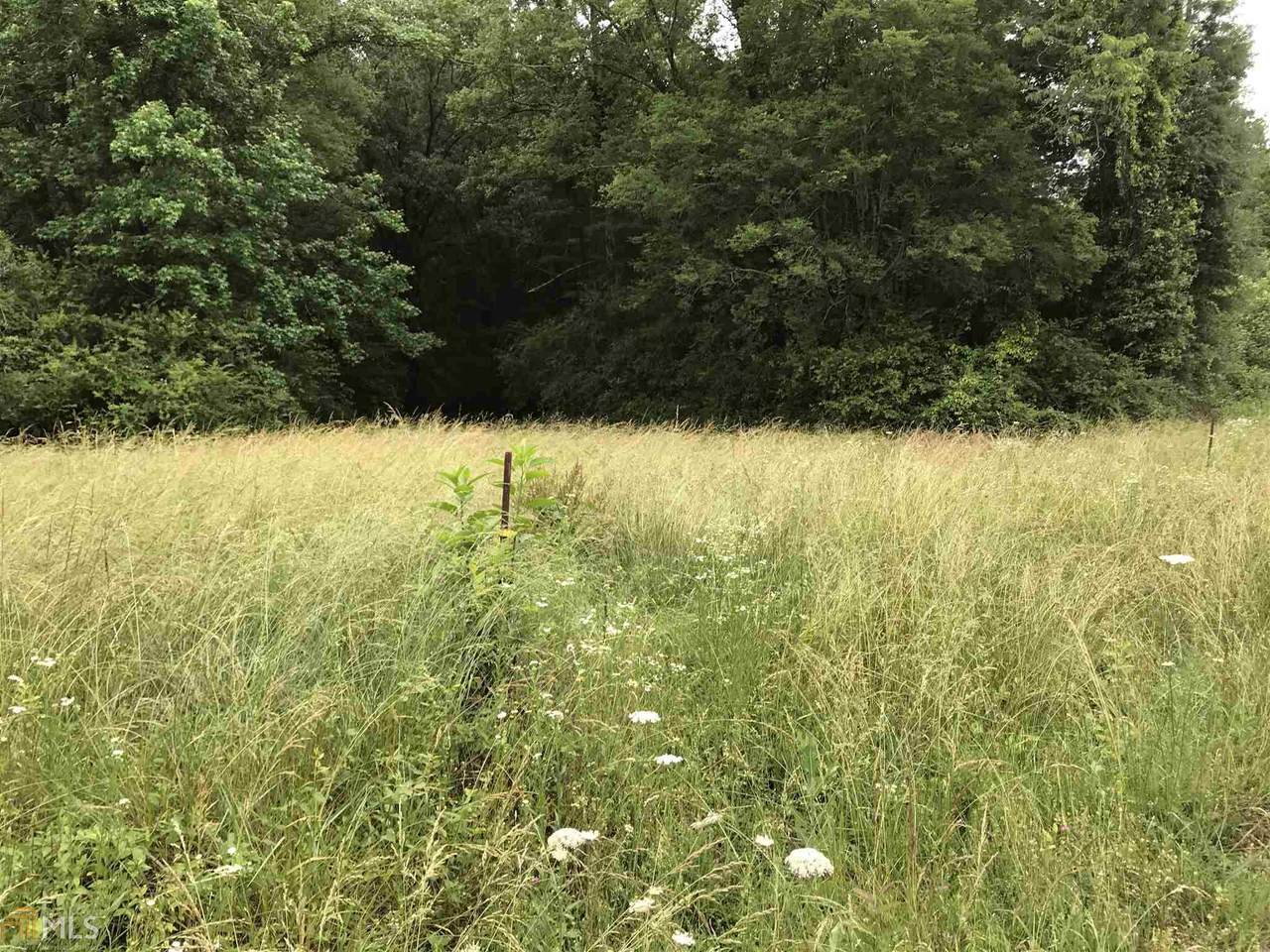 0 Horseshoe Loop - Photo 1