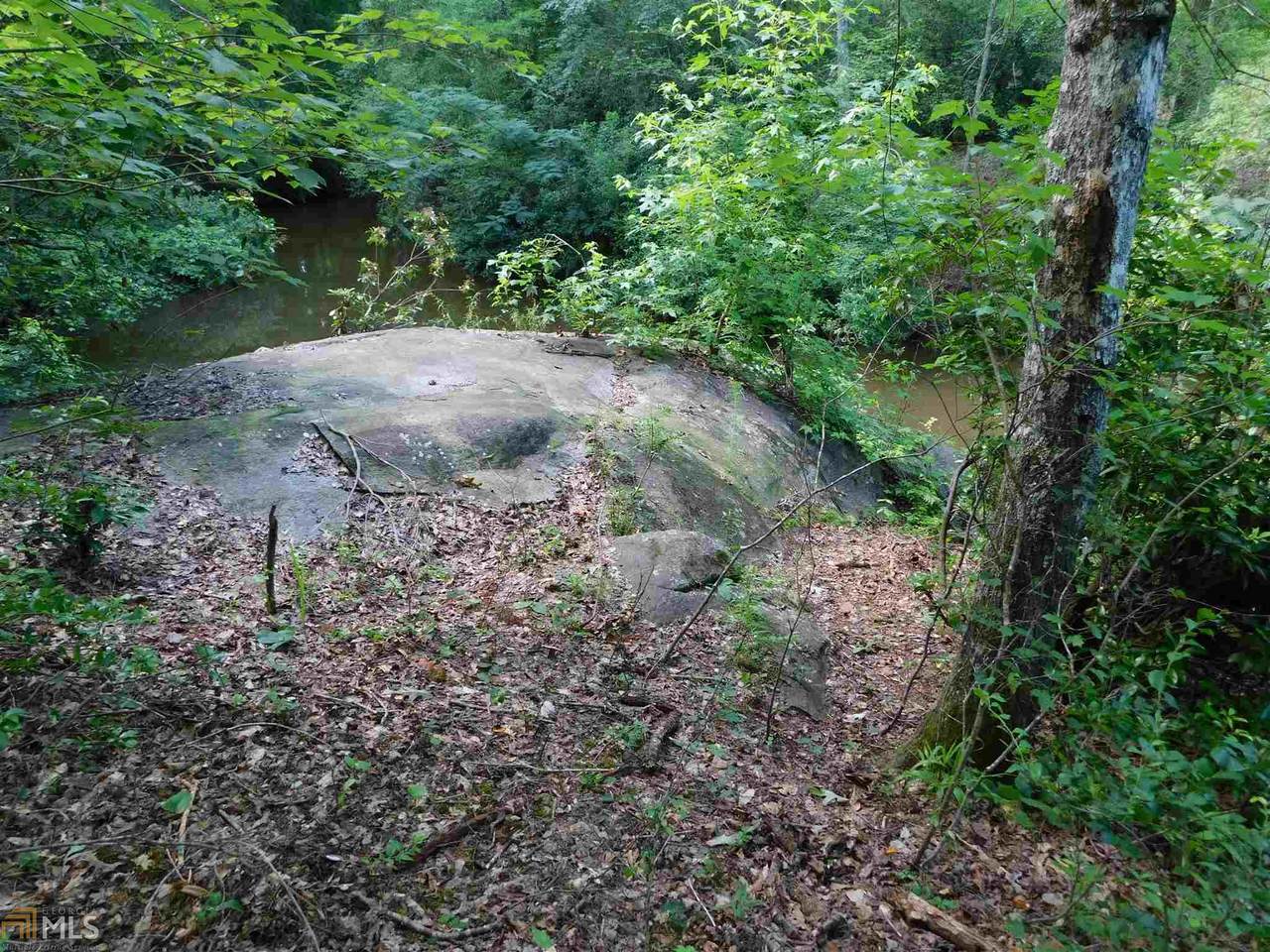 Trct 1 Baker Britt - Photo 1
